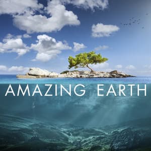 Amazing Earth - Terry Devine-King
