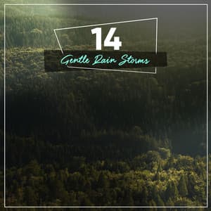 14 Meditation Rain Tracks for Mindfulness - Deep Rain Sampling