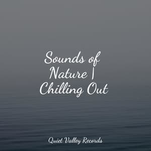 Sounds of Nature | Chilling Out - Avslappning Sound