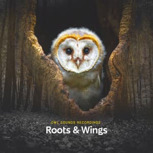 Roots & Wings - Owl Sounds Recordings