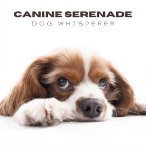 Canine Serenade - Dog Whisperer