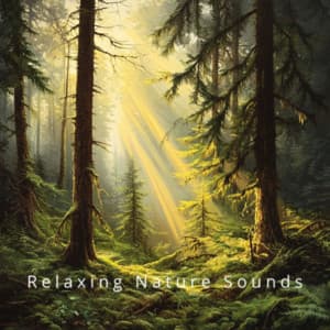 Deep Sleep Relaxing Nature Sounds Soundscapes - Relaxing Nature Sounds