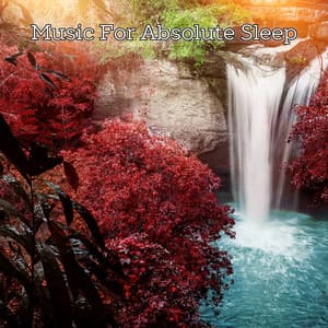 Sleep With Nature Music - Music For Absolute Sleep