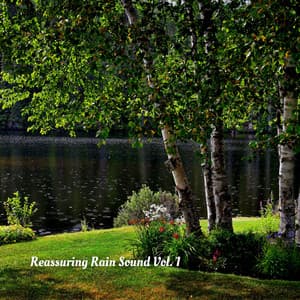 Reassuring Rain Sound Vol. 1 - The Rain Factory
