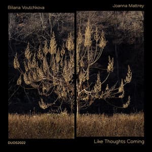 Like Thoughts Coming - Biliana Voutchkova