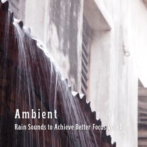Ambient: Rain Sounds to Achieve Better Focus Vol. 1 - Bosque Tropical