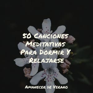 50 Canciones Meditativas Para Dormir Y Relajarse - Smart Baby Lullaby