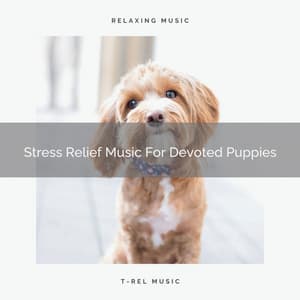 Stress Relief Music For Devoted Puppies - Sleep Dog