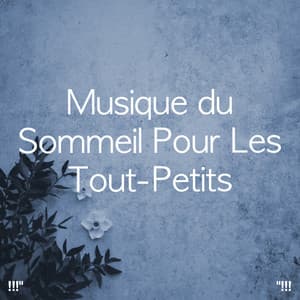 Musique du Sommeil Pour Les Tout-Petits - Sleep Baby Sleep