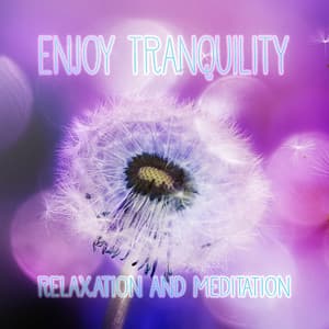 Enjoy Tranquility - Relaxation and Meditation Yoga Healing Music, Nature Sounds Perfect for Massage, Acupressure, Aromatherapy, Ayurveda, SPA & Massage - Massage Sanctuary