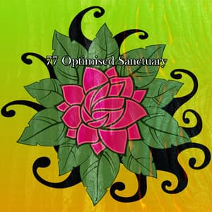 77 Optimised Sanctuary - Internal Yoga Music