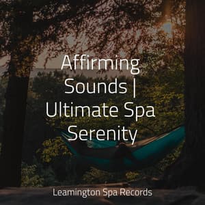 Affirming Sounds | Ultimate Spa Serenity - Binaural Beats Brain Waves Isochronic Tones Brain Wave Entertainment