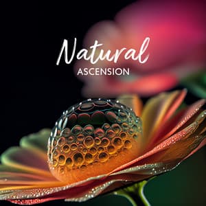 Natural Ascension - Soothing Music Academy