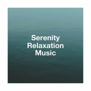 Serenity Relaxation Music - Relaxation Study Music