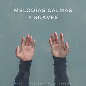Melodías Calmas Y Suaves: Relajación Lofi Para Perros - Relajante Lo Fi