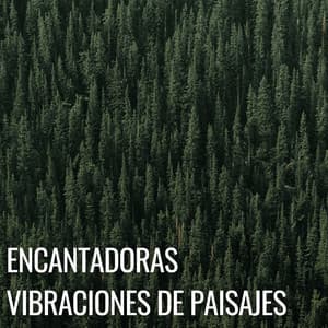 Encantadoras Vibraciones De Paisajes - Paisajes sonoros épicos