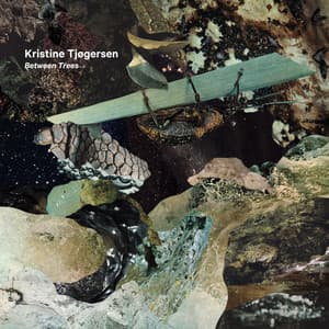 Between Trees - Kristine Tjøgersen