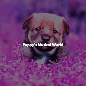 Puppy's Musical World - Smooth Dinner Jazz Group