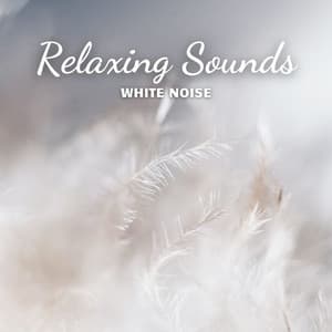 White Noise: Relaxing Sounds - White Noise Sleep Therapy