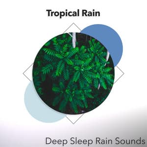 Tropical Rain - Deep Sleep Rain Sounds