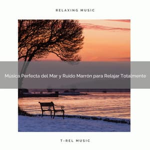 Música Perfecta del Mar y Ruido Marrón para Relajar Totalmente - Ruido Blanco Para Estudiar