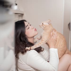 Piano Rainfall: A Cat's Blissful Comfort Zone - Contemplative Souls