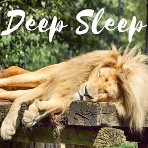 Deep Sleep Aid Brainwave Entrainment Meditation Treat Insomnia with Nature Sounds Music - Isochronic Tones Binaural Beats - Complete Brainwave Therapy System