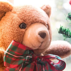 Symphonic Breath - Arctic Comfort