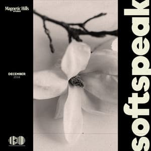 Softspeak - Meditation Zone