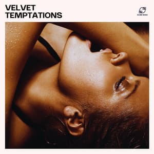 Velvet Temptations - Making Love Music Ensemble