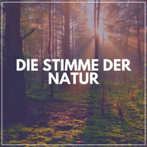 Die Stimme Der Natur - Naturgeräusche