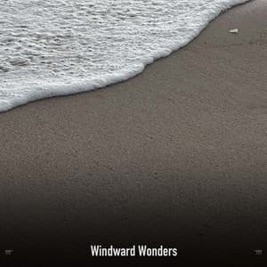 !!!!" Windward Wonders "!!!! - Ocean Waves