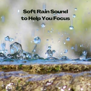 Soft Rain Sound to Help You Focus - ASMR Rain Sounds