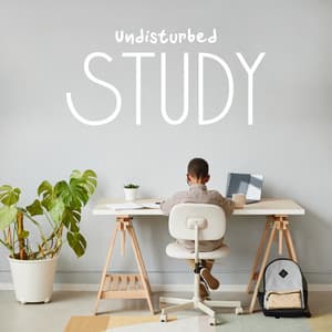 Undisturbed Study: Music to Improve Your Focus, Memory and Mood - Jazz Concentration Academy