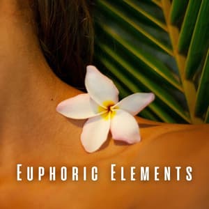 Euphoric Elements: Meditation Music for Spa Experience - Classical Music Station