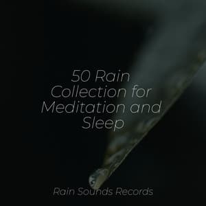 50 Rain Collection for Meditation and Sleep - Massage Therapy Music
