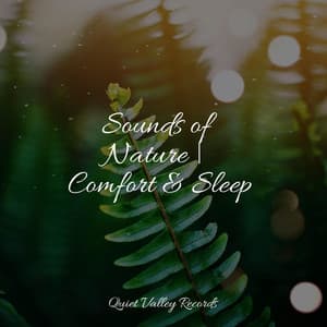 Sounds of Nature | Comfort & Sleep - Anxiety Relief