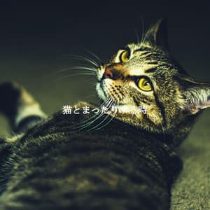 猫とまったりする時 - Spanish Cafe Music