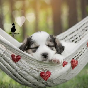 Puppy Overstimulation Therapy - Pet Music Academy