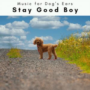 1 Stay Good Boy - Music for Dog's Ears