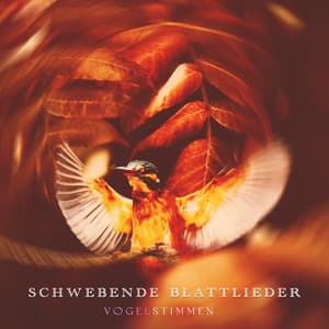 Schwebende Blattlieder - Vogelstimmen