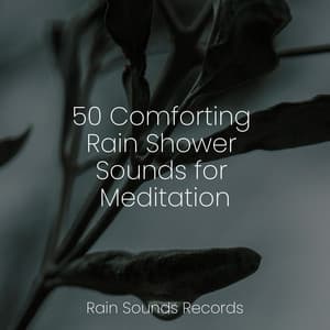 50 Comforting Rain Shower Sounds for Meditation - Meditation Rain Sounds