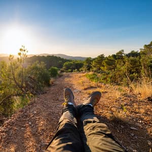 Armonía En La Orquesta: Capas Musicales Calmantes - Bertie Lambert