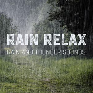 Rain and Thunder Sounds - Rain relax