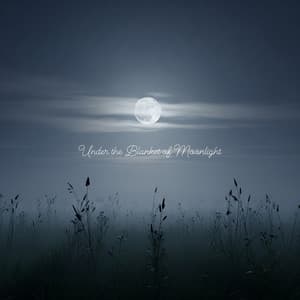 Under the Blanket of Moonlight - Melatonin Monk