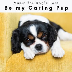 1 Be my Caring Pup - Music for Dog's Ears
