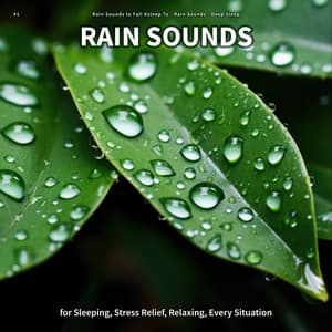 #1 Rain Sounds for Sleeping, Stress Relief, Relaxing, Every Situation - Rain Sounds to Fall Asleep To