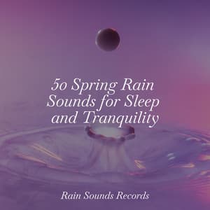 50 Spring Rain Sounds for Sleep and Tranquility - Sonidos De Lluvia y Tormentas