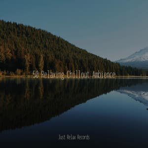 50 Relaxing Chillout Ambience - Bedtime Lullabies