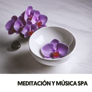 Sanación Espiritual: Zen Garden Serenades - Cat Music